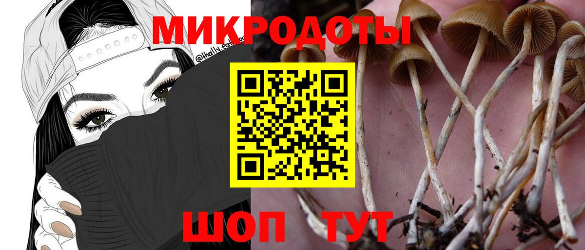 Галлюциногенные грибы Magic Shrooms Санкт-Петербург