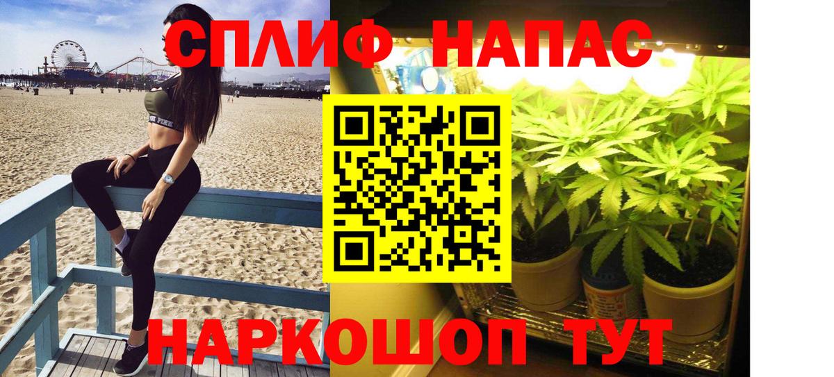 МАРИХУАНА гибрид Санкт-Петербург